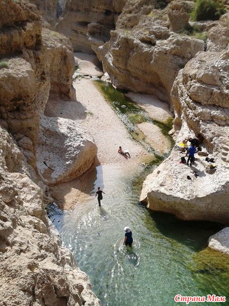   (Wadi Shab)     .