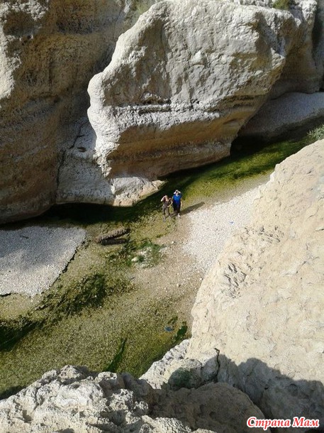   (Wadi Shab)     .