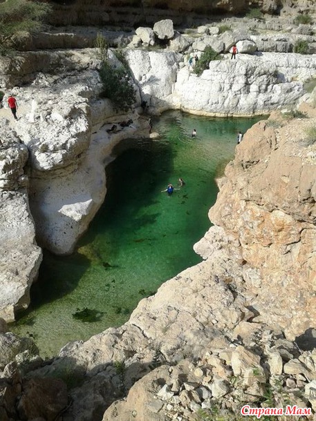   (Wadi Shab)     .