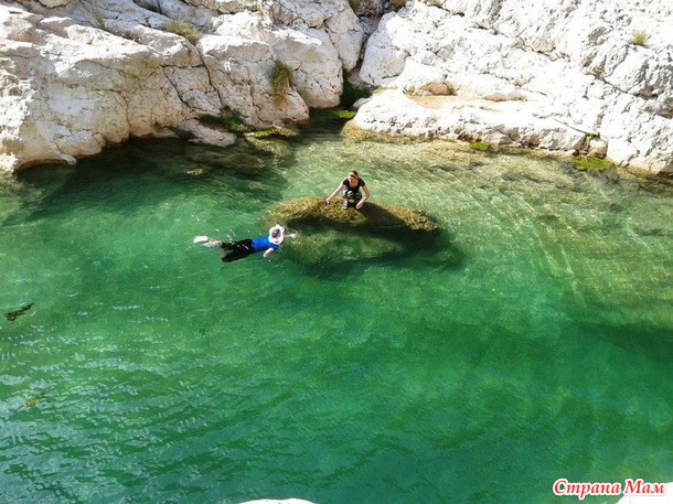   (Wadi Shab)     .