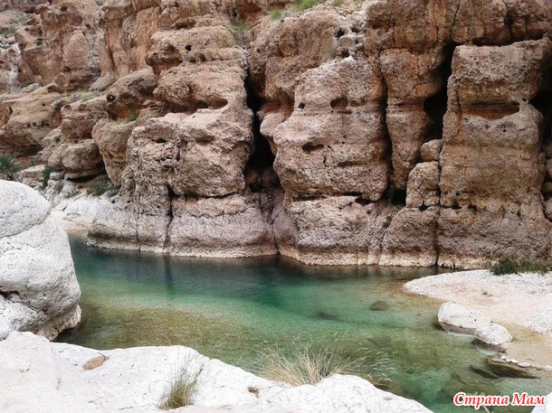   (Wadi Shab)     .