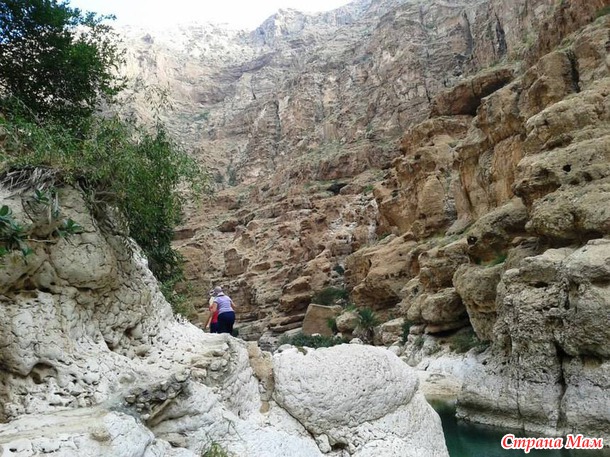   (Wadi Shab)     .