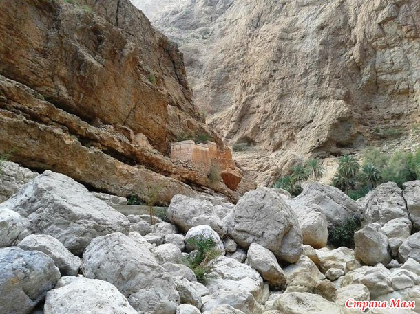   (Wadi Shab)     .