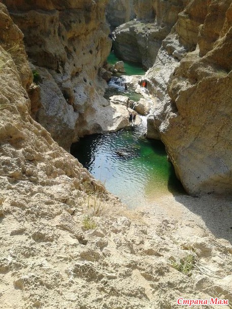   (Wadi Shab)     .