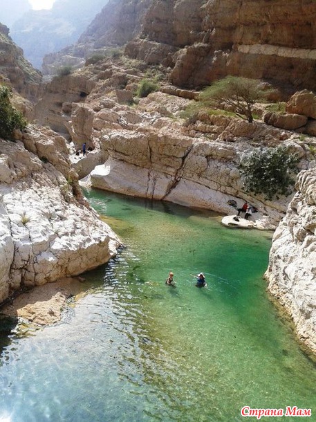   (Wadi Shab)     .