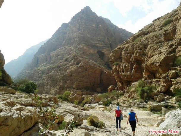   (Wadi Shab)     .