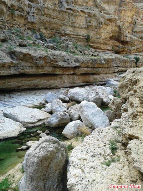   (Wadi Shab)     .