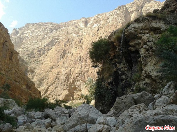   (Wadi Shab)     .