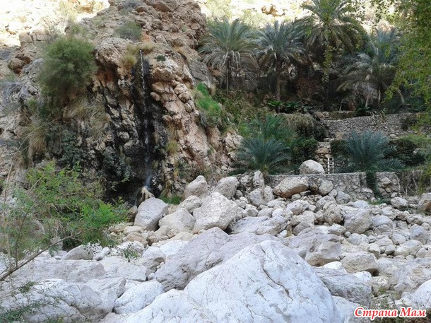   (Wadi Shab)     .