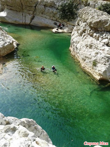   (Wadi Shab)     .