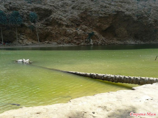   (Wadi Shab)     .