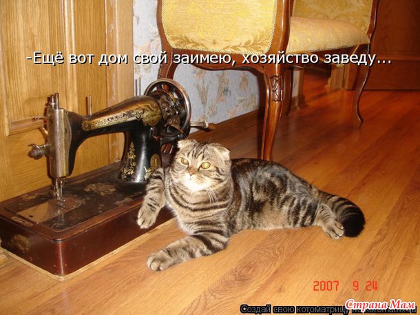 Зверюшки