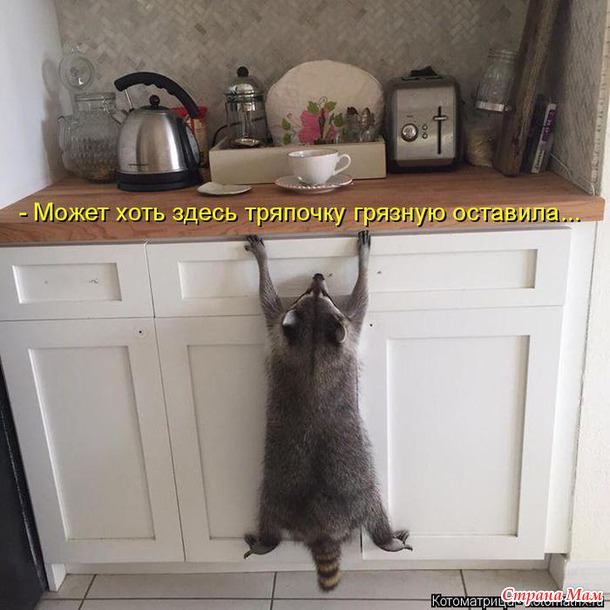 Зверюшки