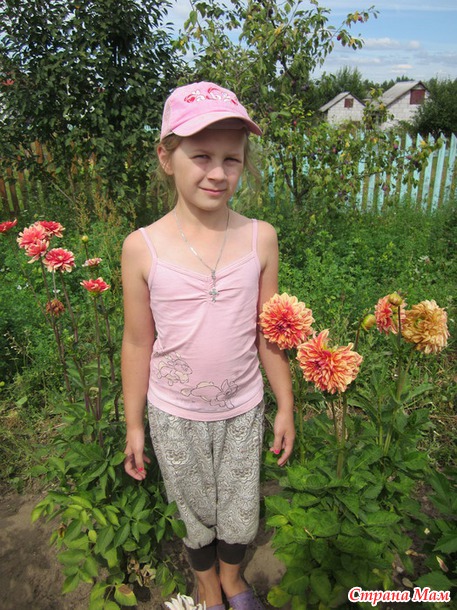 Что не сгорело этим летом. часть 2