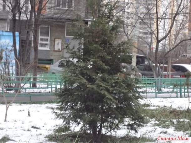Пришла зима в Москву