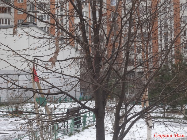 Пришла зима в Москву