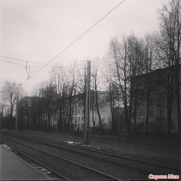 Такой разный Петербург