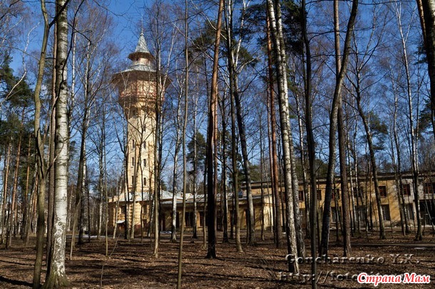 Политехнический институт императора Петра Великого.