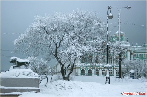 Снежный Петербург