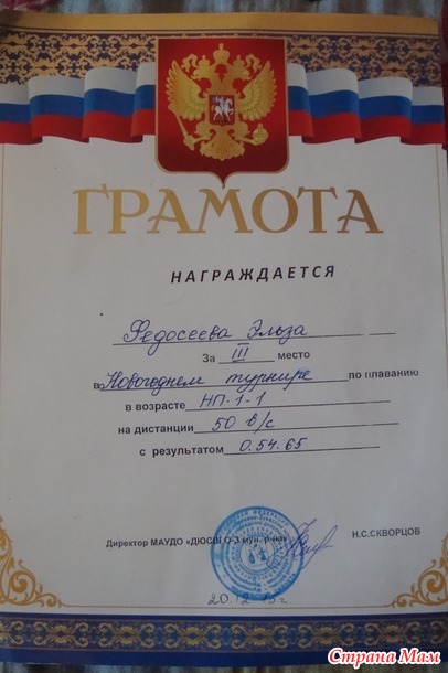 Предновогодние приключения Эльзы