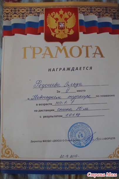 Предновогодние приключения Эльзы