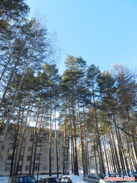 Февраль пришел... и музыкой окутал, закружил..