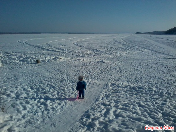 15 января 2015г.