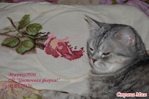 СП "Цветочная феерия". Весна не за горами!