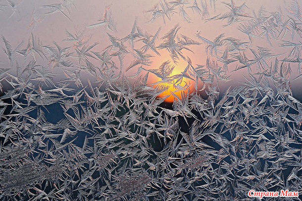 Морозное кружево