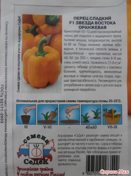 Вот и я "зазвездилась"!!!