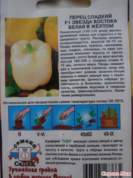 Вот и я "зазвездилась"!!!