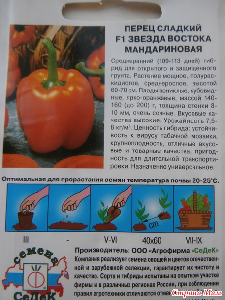 Вот и я "зазвездилась"!!!