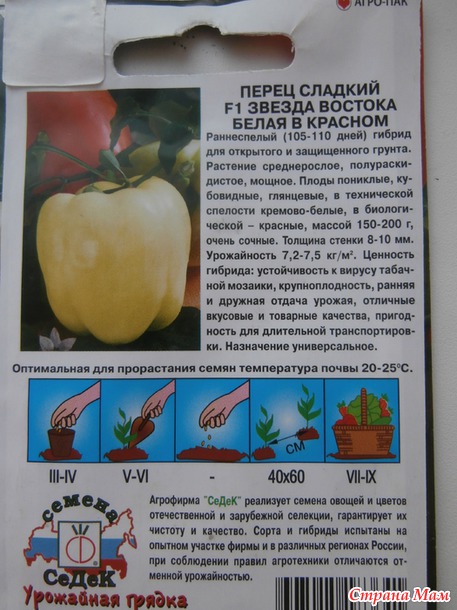 Вот и я "зазвездилась"!!!