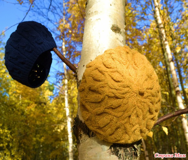 *��������� � ������ �� ���� � ����� �������� )))