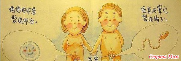 Откуда берутся дети в картинках. Китай
