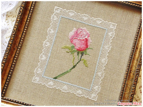 Королева цветов @->-- Love Rose