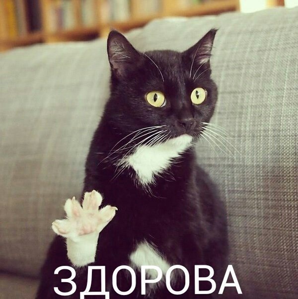 - -.  2. !!!