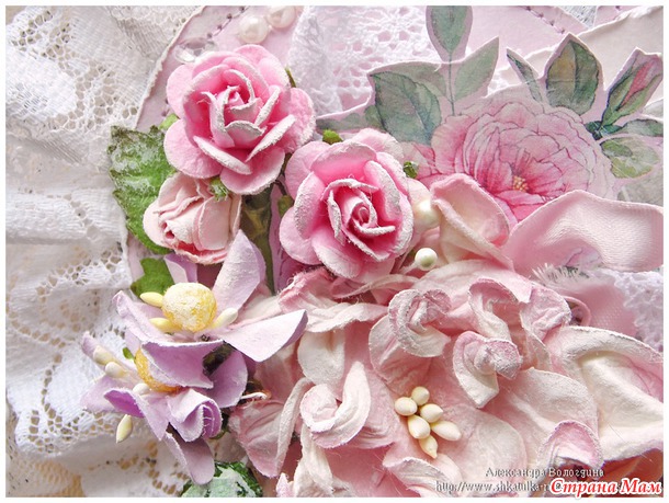 Королева цветов @->-- Love Rose