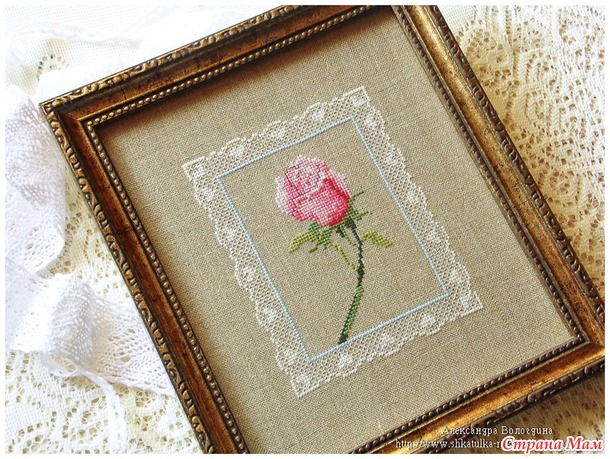 Королева цветов @->-- Love Rose
