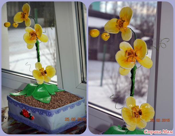 Торты (взрослые).