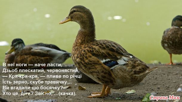 Самодельная книжка в детский сад