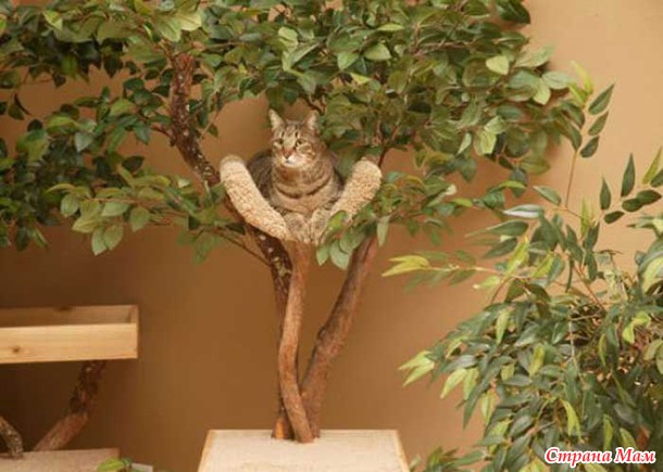 Домики для кошек