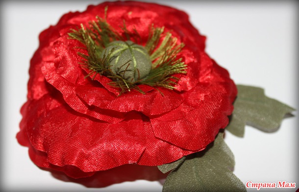 Первые маки из атласа