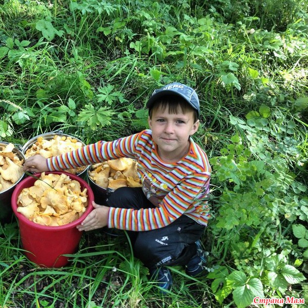Новый Год начался с сУрприза... Прошу ваших советов...