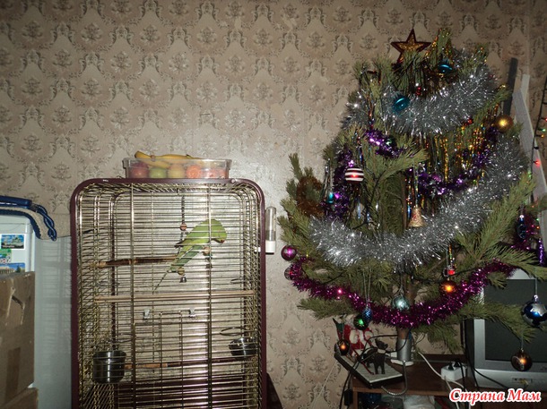 Всех с Наступившим Новым 2015 годом!