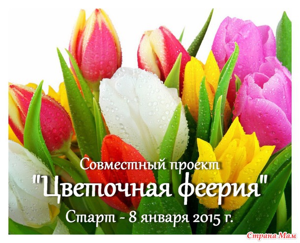 СП "Цветочная феерия". Цветы нам дарят вдохновенье!