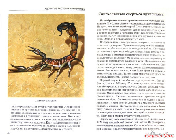 Тимошка. Узнай мир.