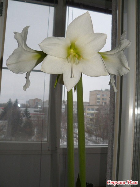 Подарки к праздникам.