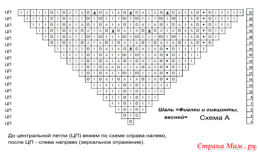 Гиацинт м схема