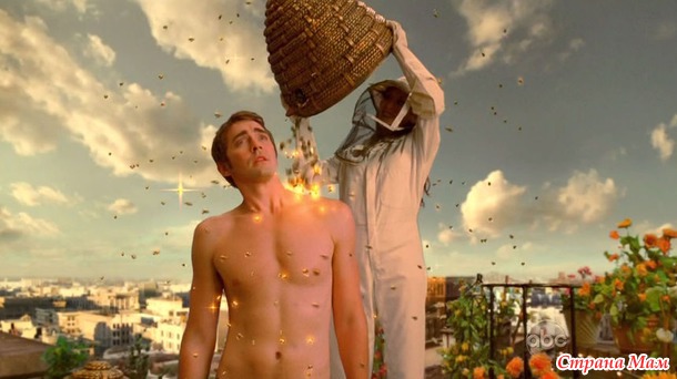   (,     Pushing Daisies)